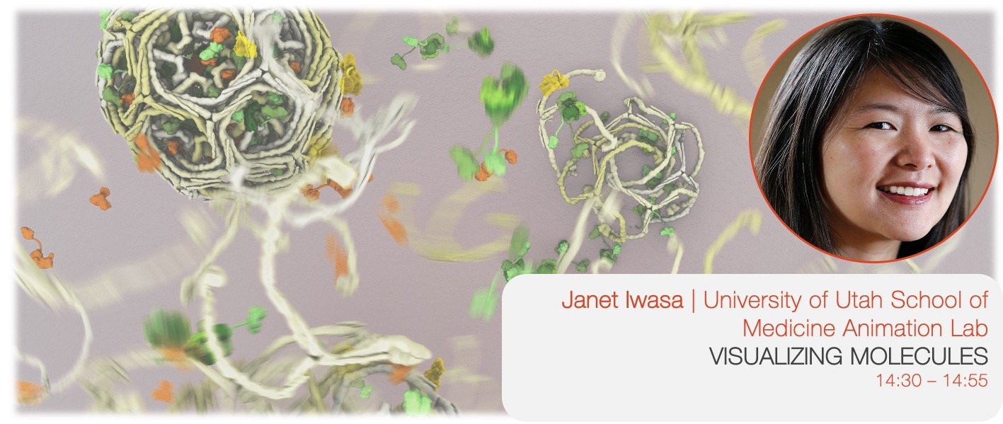 Janet Iwasa: Visualizing Molecules