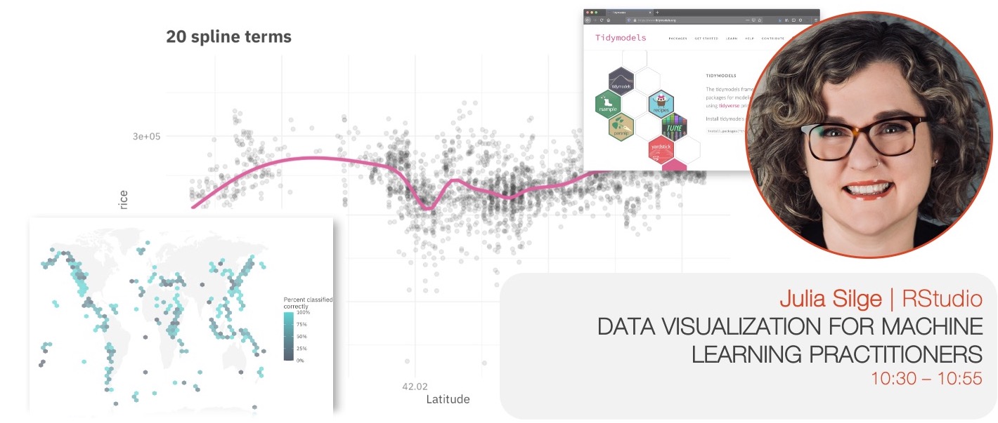 Julia Silge: Data Visualization for Machine Learning Practitioners
